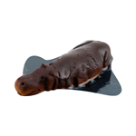 Hippo Submerged