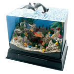 Complex Aquarium