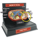 Cell Parts