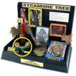 Display Tip