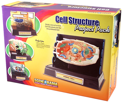 Cell Structure Project Pack