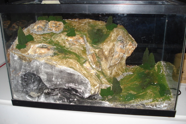 Cody Joy Tarantula Habitat