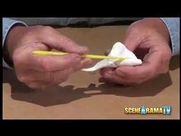 Sculpt a Dolphin Video