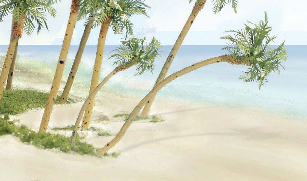 Sand - Use this fine-grade, natural product to model a barren plain, sandy beach or desert scene