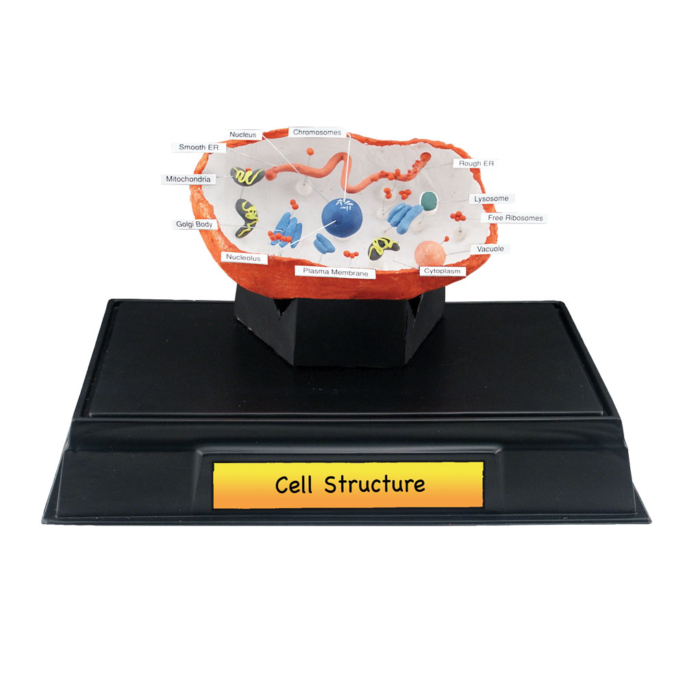 Cell Structure Classroom Pack<sup>™</sup> - This five-session project allows students to create their own cell, according to what was learned in class