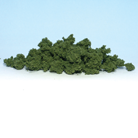 Clump-Foliage<sup>™</sup>