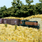 Field Grass