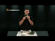 Make a Tree Video